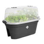 green basics balkon anzuchtset 55cm living schwarz